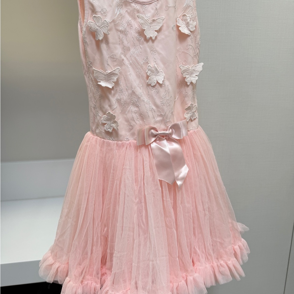 Popatu Light Pink Dress with Sparkly Embroidery and butterflies